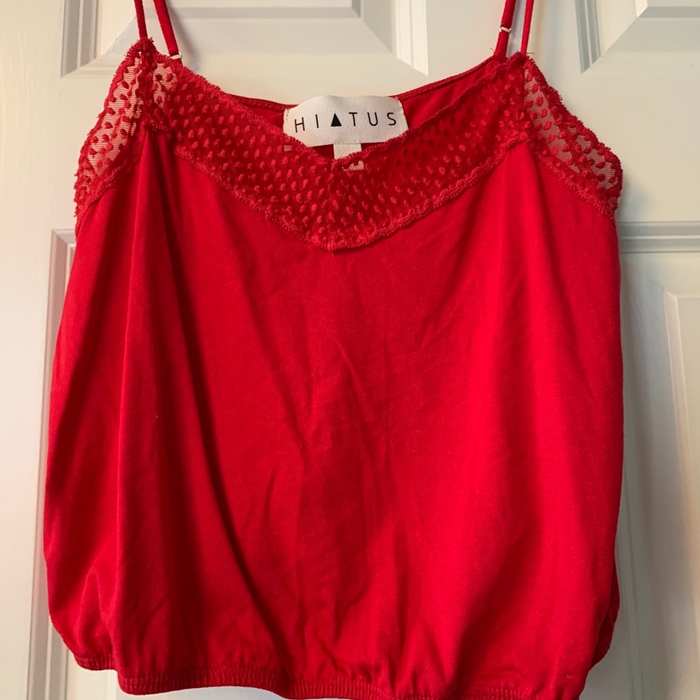 Never Worn Hiatus Red Cropped Tank Top